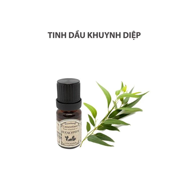 Hình ảnh chân thực Tinh dầu khuynh diệp L'amoritane - sản phẩm được yêu thích