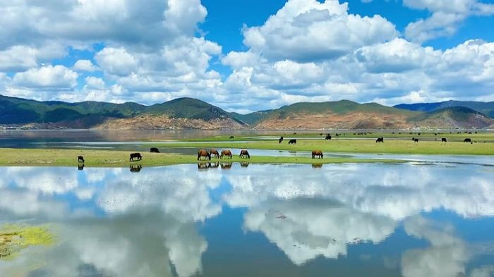 Chiêm ngưỡng vẻ đẹp bốn mùa của hồ Napahai