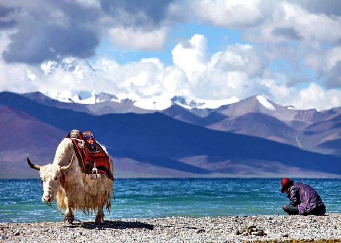 Hành trình kết hợp khám phá Shangri-La và Lệ Giang