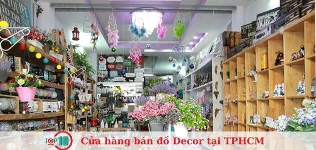 Tâm Shoppe - Nghệ thuật trang trí đầy cảm hứng