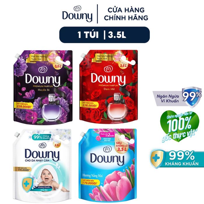 Bộ sưu tập hình ảnh đa dạng của Downy