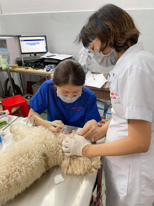 Hình ảnh đội ngũ bác sĩ tận tâm tại Kim Sơn