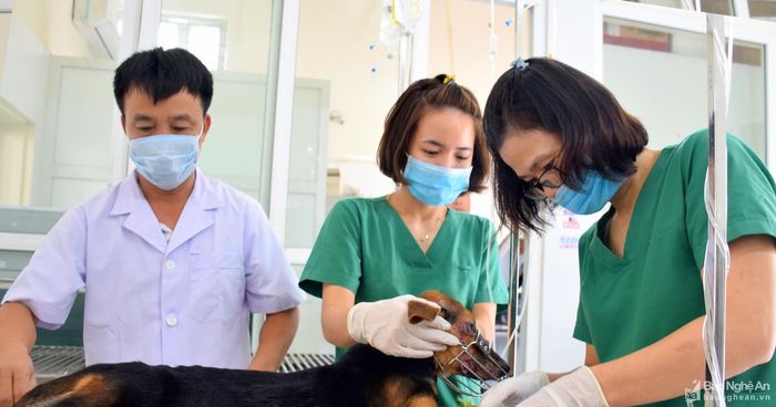 Hình ảnh đội ngũ bác sĩ tận tâm tại Vietpet