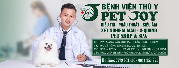 Hình ảnh cơ sở vật chất hiện đại tại Pet Joy