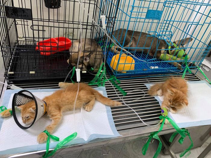 Hình ảnh cơ sở vật chất hiện đại tại Vinpet