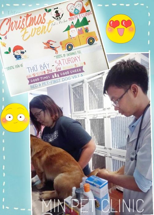 Hình ảnh cơ sở vật chất hiện đại tại Min Pet