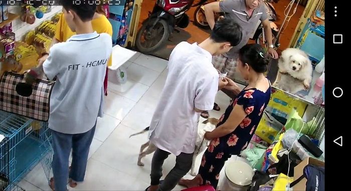 Hình ảnh không gian phòng khám Thú Y Min Pet