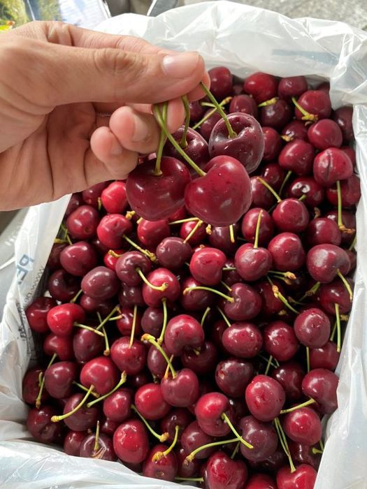 Hành trình khám phá thế giới trái cây sạch và nhập khẩu đẳng cấp tại Bình Thạnh