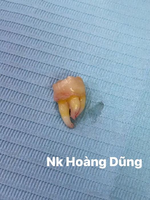 Hình ảnh đội ngũ bác sĩ chuyên môn tại Nha khoa Hoàng Dũng
