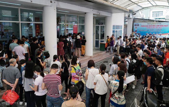 Hình ảnh minh họa về ngành Dược (Nguồn: Internet)