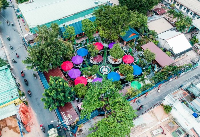 ĐẢO KOI Coffee Garden - khoảnh khắc bình yên bên hồ cá Koi rực rỡ