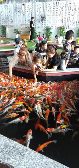 Góc thư giãn lãng mạn bên hồ cá Koi tại Karasu KOI