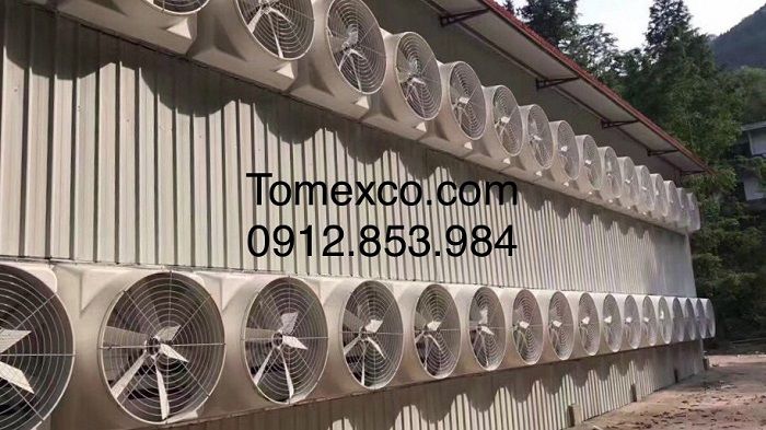 Hình ảnh dây chuyền sản xuất quạt công nghiệp hiện đại tại Tomexco