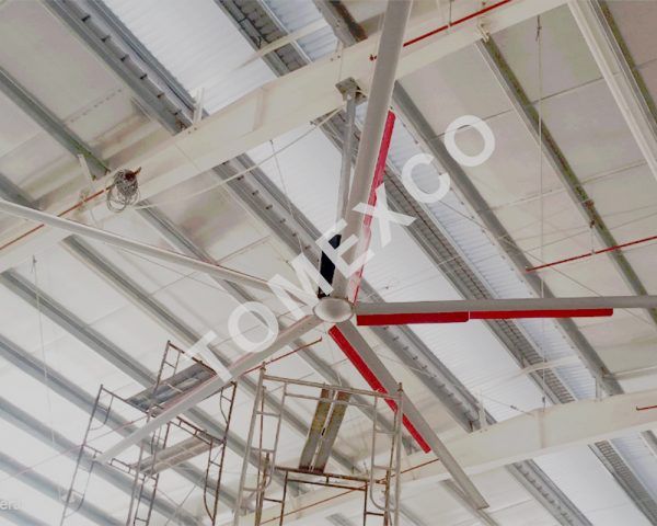 Hình ảnh hệ thống quạt trần công nghiệp HVLS Tomexco tại nhà xưởng