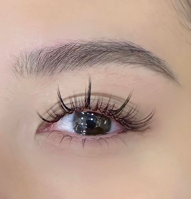 AIVAN Eyelash - Bộ sưu tập mẫu mi đẹp nhất 2024