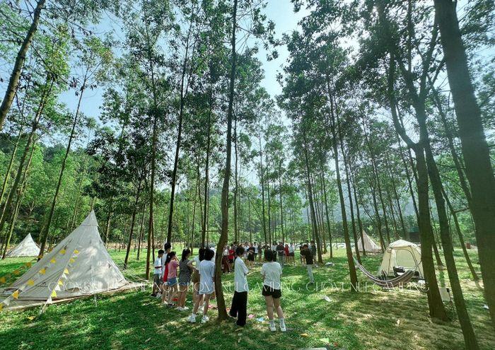 Không gian xanh mát tại Chòm Núi Camping