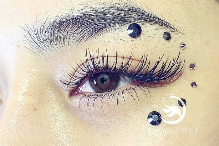 Thùy Anh Mi - Hình ảnh những bộ mi đẹp nhất