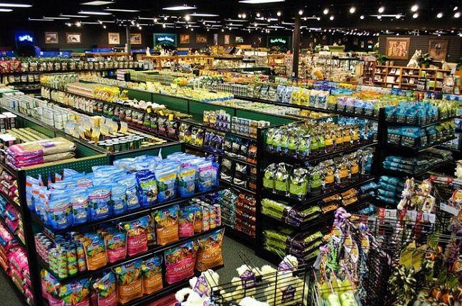 PET City tự hào góp mặt trong Top 10 cửa hàng phụ kiện thú cưng đáng tin cậy nhất TP.HCM, nơi mỗi sản phẩm đều được chọn lọc kỹ lưỡng.