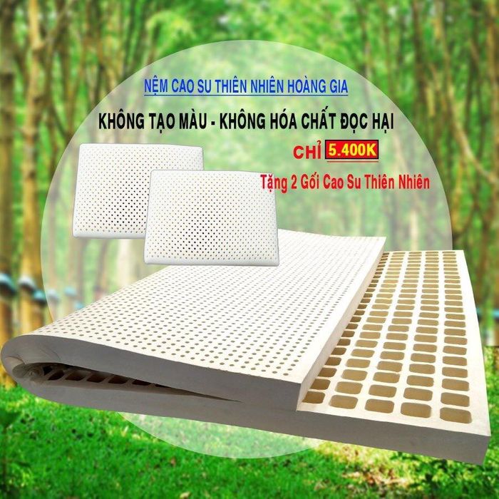 Bộ sưu tập nệm cao cấp đa dạng tại Siêu Thị Nệm Phúc Nhân Gia (Ảnh 2)