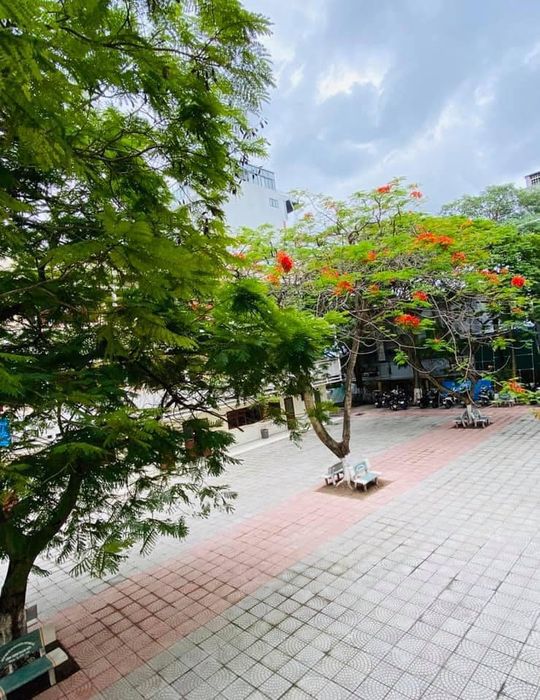 Hình ảnh ấn tượng về THPT Hàng Hải