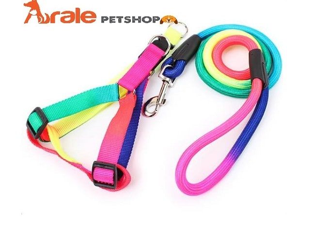Arale PETShop tự hào lọt top 10 cửa hàng phụ kiện thú cưng chất lượng và uy tín nhất TP.HCM