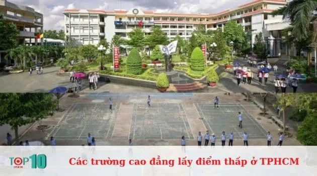 Trường Cao đẳng Tài chính Hải Quan