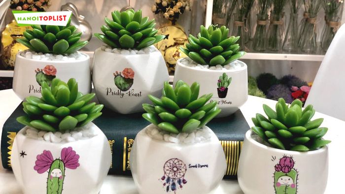 tiny-garden-Tripi