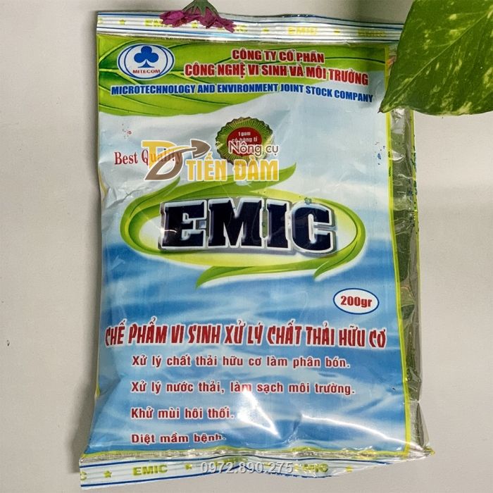 Hình ảnh 2