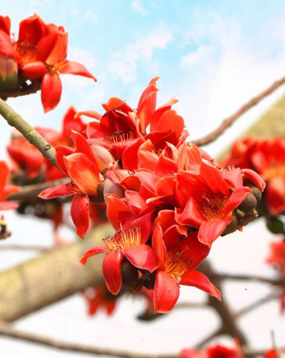 Tác phẩm nghệ thuật minh họa - Nguồn: Thư viện hình ảnh sáng tạo