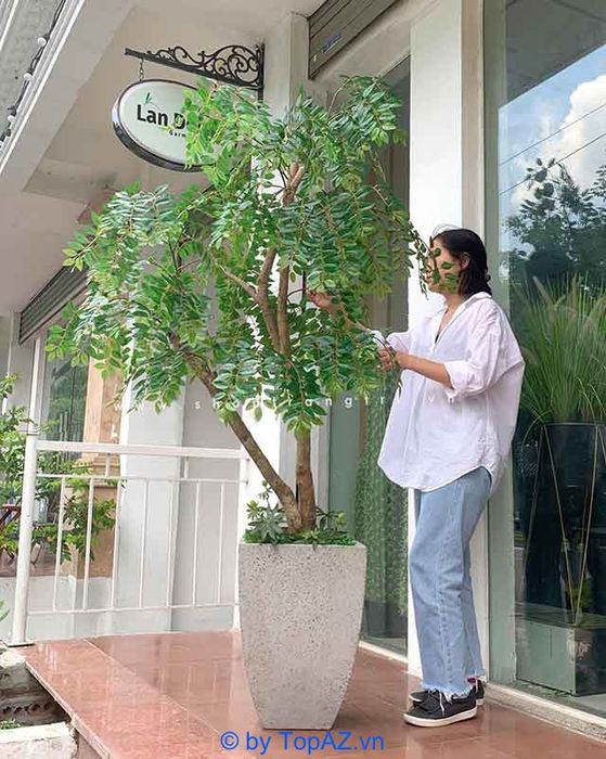 Mua cây cảnh giả tại Lan Decor TPHCM, địa chỉ uy tín hàng đầu trong lĩnh vực trang trí nội thất.