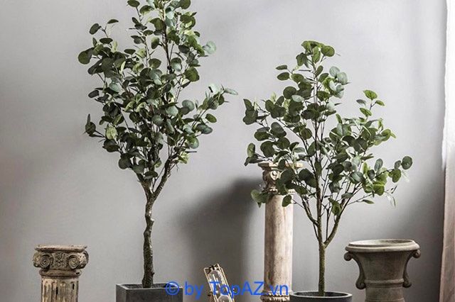Địa chỉ mua cây cảnh giả chất lượng tại TPHCM