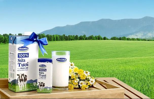 Hình ảnh sản phẩm sữa tươi Vinamilk cao cấp