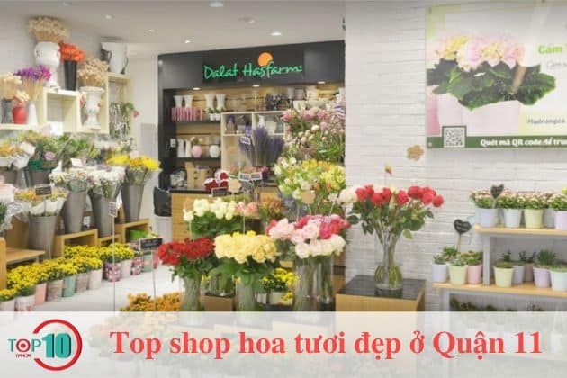 Dalat Hasfarm - Tinh hoa hoa tươi Đà Lạt