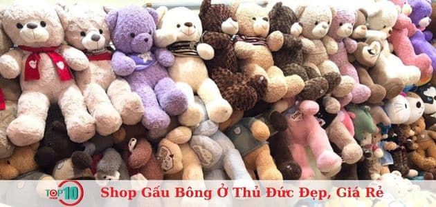 Shop Gấu Bông Teddy - Nơi gửi gắm yêu thương
