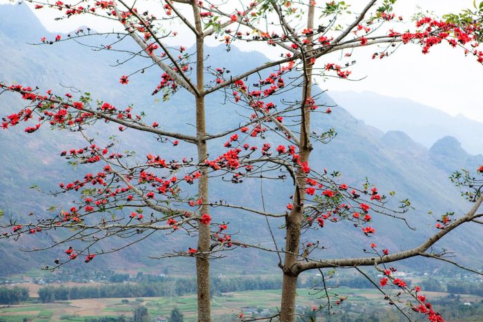 Tác phẩm nghệ thuật minh họa - Nguồn: Kho tàng sáng tạo số