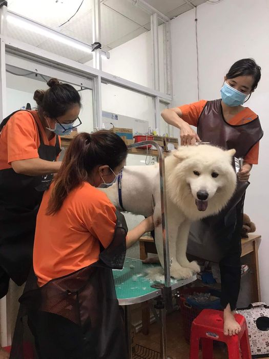 Hình ảnh cơ sở vật chất hiện đại tại Phòng Khám Thú Y Pet Home