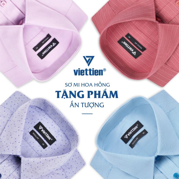 Hình ảnh Việt Tiến 2