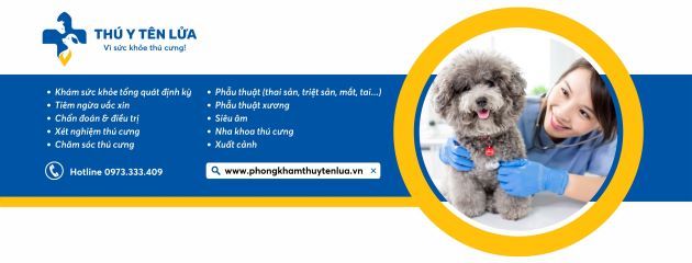 Thú Y Tên Lửa - Thiên đường làm đẹp cho thú cưng