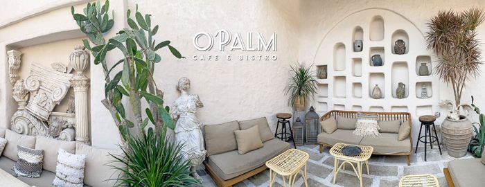 Không gian nhiệt đới tại O'Palm Cafe - Ảnh 1