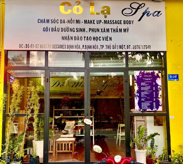 Không gian tĩnh tại Cỏ Lạ Spa - Ảnh 1