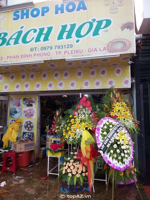 Shop Hoa Bách Hợp - Địa chỉ mua hoa tươi uy tín tại TP. Pleiku