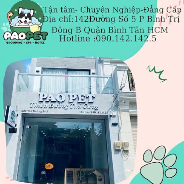 PAO PET - Nâng niu từng sợi lông