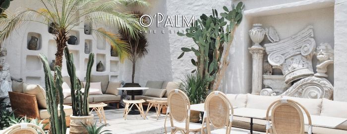 Góc thư giãn đầy nắng tại O'Palm Cafe - Ảnh 2