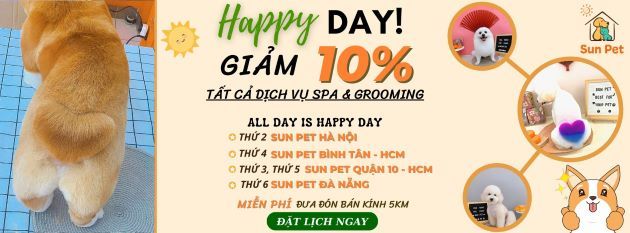 Sun Pet - Điểm hẹn tin cậy cho thú cưng