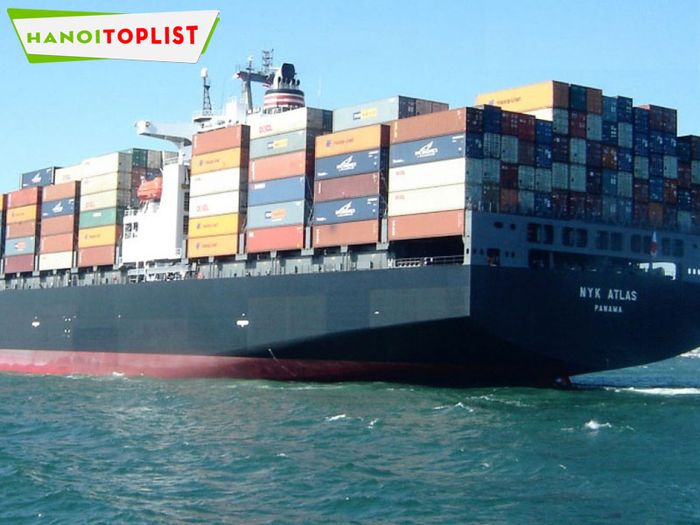 best-cargo-Tripi