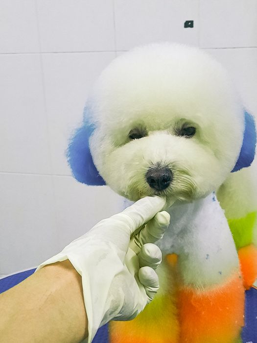 Ảnh 1 về Phòng Khám Thú Y Pet World - Bình Dương