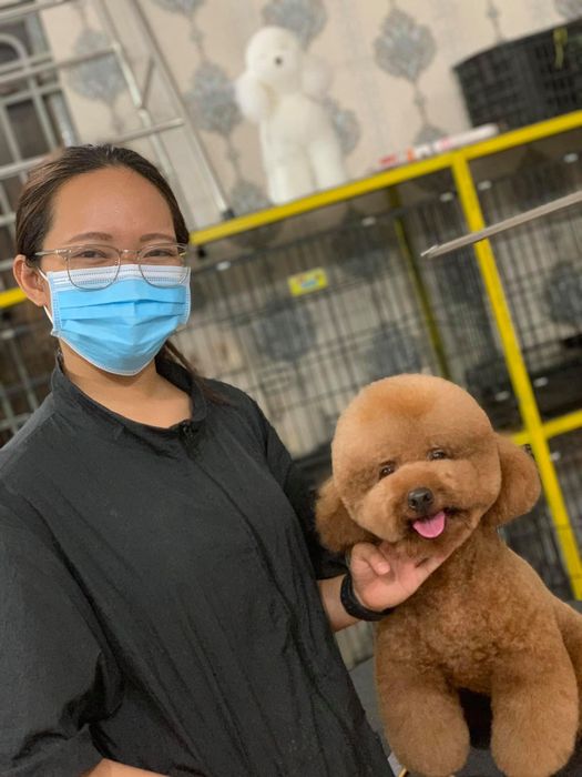 Ảnh 3 về PET SMILE BÌNH DƯƠNG