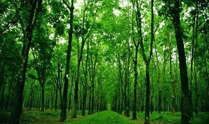 Tranh minh họa đặc biệt: Hình ảnh Tnú với đôi bàn tay rực lửa - biểu tượng của ý chí bất khuất
