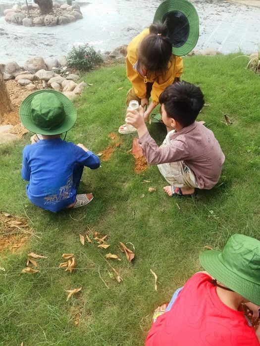 Góc sân trường ngập tràn nắng và tiếng cười