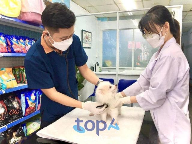 Sam Pet - Thiên đường chăm sóc sức khỏe cho thú cưng